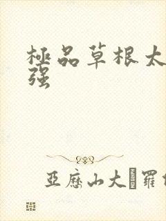 极品草根太子张强