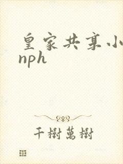 皇家共享小公主nph