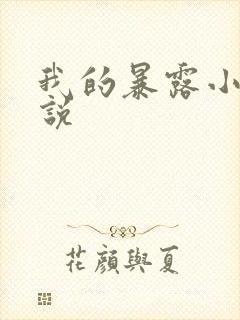 我的暴露小说小说