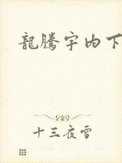 龙腾宇内下载