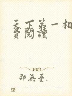 天下第一相书免费阅读