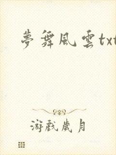 梦舞风云txt
