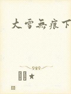 大雪无痕下载