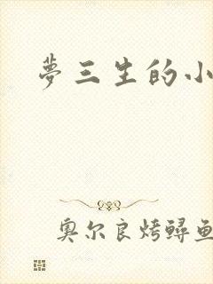 梦三生的小说