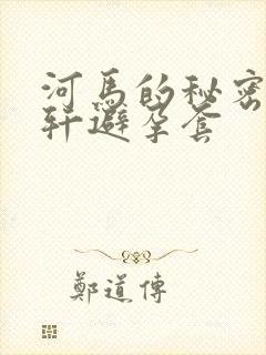 河马的秘密河文轩避孕套