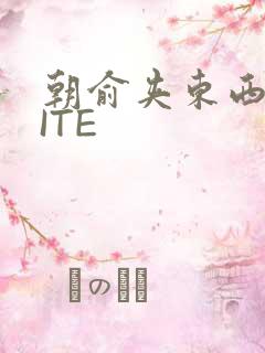 朝俞夹东西WRITE