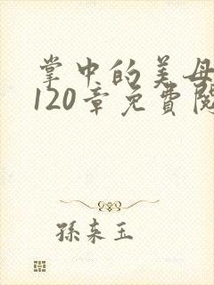 掌中的美母版主120章免费阅读