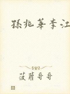 孙兆华李江小说