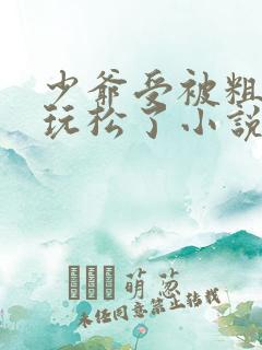 少爷受被粗汉H玩松了小说