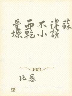 爱而不得苏路顾塬乾小说