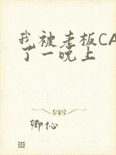 我被老板CAO了一晚上