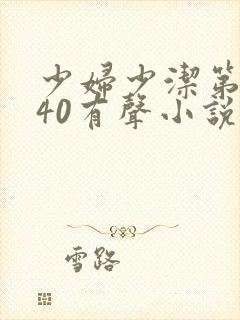 少妇少洁第1一40有声小说