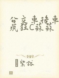 公交车后车座的疯狂C苏苏