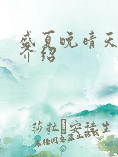 盛夏晚晴天剧情介绍