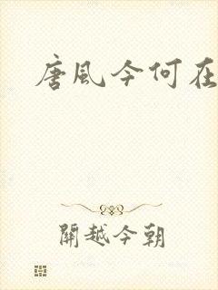 唐风今何在