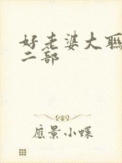 好老婆大联盟第二部