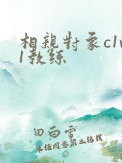 相亲对象c1v1教练