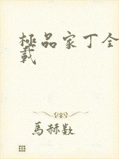 极品家丁全集下载