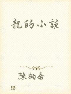 龙的小说