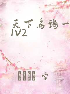 天下乌鸦一般黑1V2