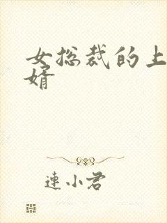 女总裁的上门女婿