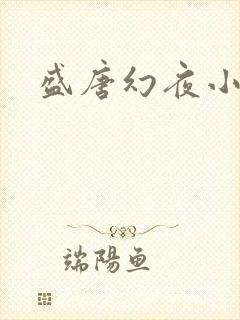 盛唐幻夜小说