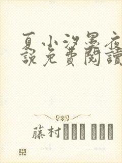 夏小汐墨夜霆小说免费阅读