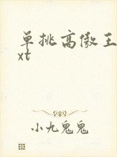 单挑高傲王子txt