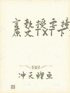 言教授要撞坏了原文TXT下载