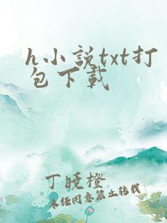 h小说txt打包下载