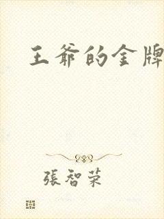 王爷的金牌暗卫