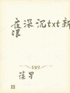 夜深沉txt新浪
