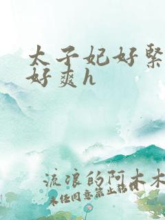 太子妃好紧皇上好爽h