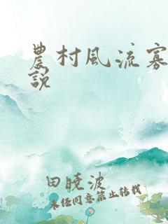 农村风流寡妇小说