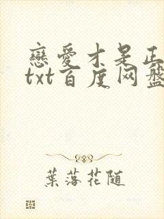 恋爱才是正经事txt百度网盘