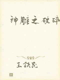 神雕之破碎之旅