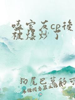 嗑室友cp后我被爆炒了