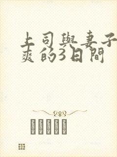 上司与妻子干到爽的3日间