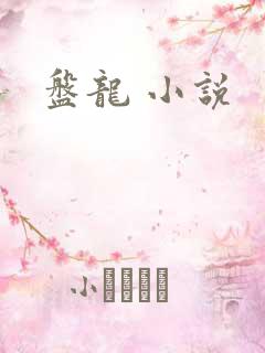 盘龙 小说