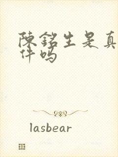 陈铭生是真实事件吗