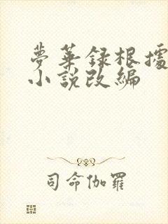 梦华录根据什么小说改编