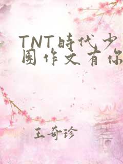 TNT时代少年团作文有你真好