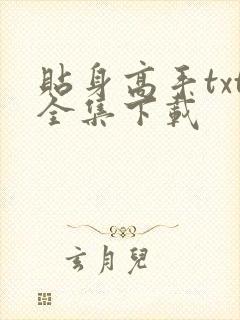 贴身高手txt全集下载