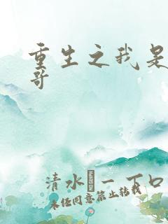 重生之我是大帅哥