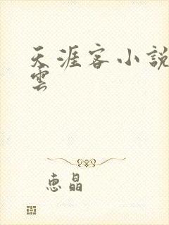 天涯客小说百度云