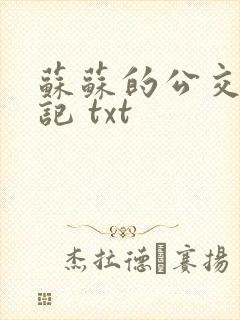 苏苏的公交车日记 txt