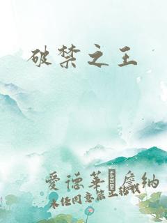 破禁之王