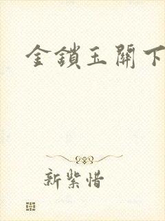 金锁玉关下载