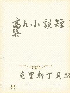 高h小说短篇合集