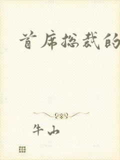 首席总裁的逃妻